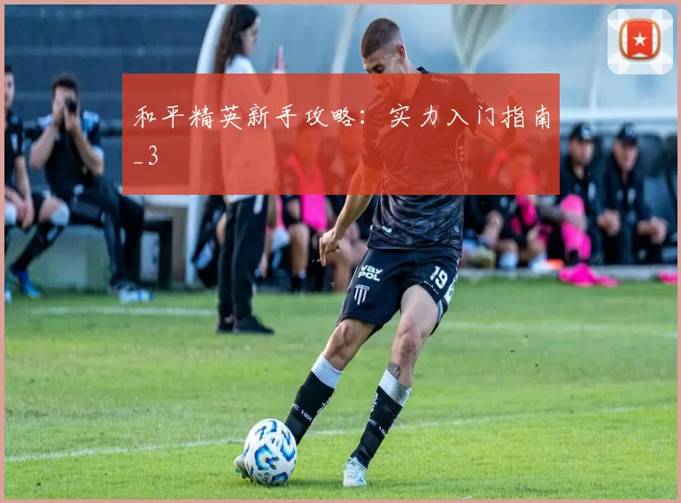 和平精英新手攻略：实力入门指南_3