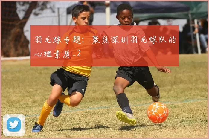 羽毛球专题：聚焦深圳羽毛球队的心理素质_2