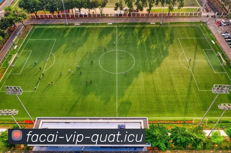 北京排球队在钻石联赛中的默契配合与战术执行分析